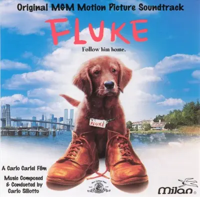 Fluke soundtrack cover